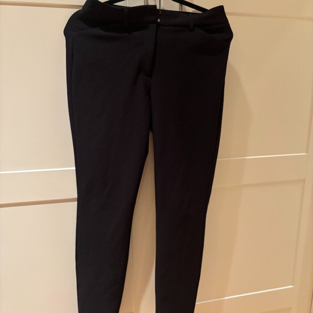 Express Skinny Slacks (Business/smart casual)